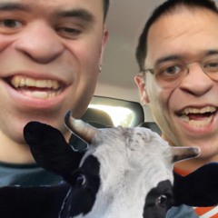 lil telt & stor pløk