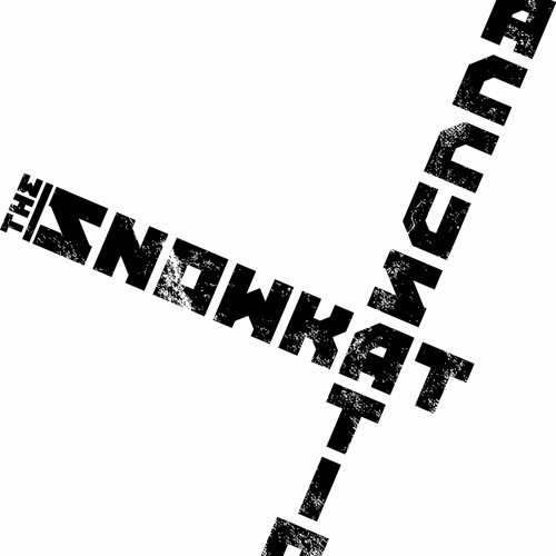 The Snowkat Accusation’s avatar