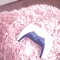 rionnapickup