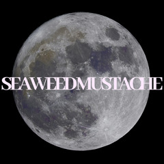 seaweedmustache 미역수염