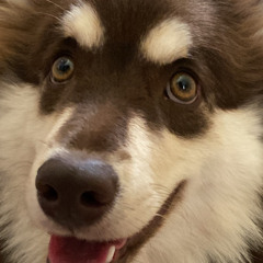Mursu :D