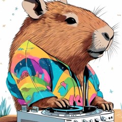 DJ Bara Capy