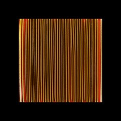 Inficiosimplex-inglibalbl