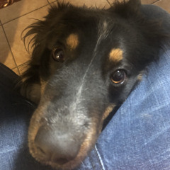 Miguel Angel Ovalle 2