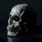 shadowcodes33
