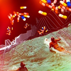 Starlight and Moonflowers