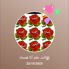 سيد المندلاوى