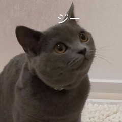 木公本 才石也