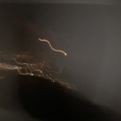 Evading taxes, Hitting Maxes