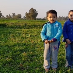 mahmoud