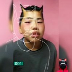 Д. Ган Эрдэнэ