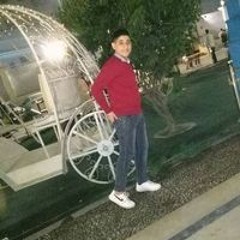 Ahmed M Elswefy