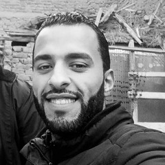 Mostafa Albalkasa