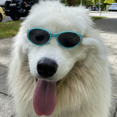 timtomthorben