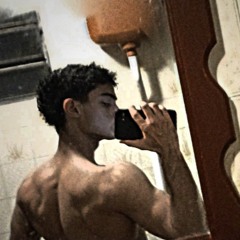 sebzzx1