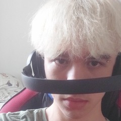 MingoLindolindoMINGO
