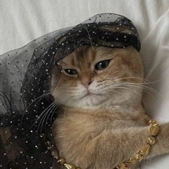مجروحه بصمت
