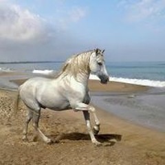 الكعبية جنوبية عمرية