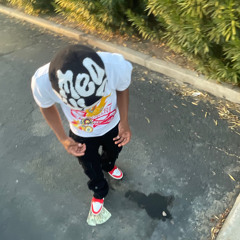 chasehundos