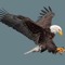 EagleEye_99