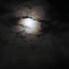 Beatsthatchangetheworld