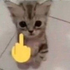 boa