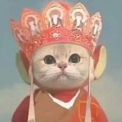 Quả Bơ Đơ Ngơ