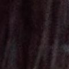 kenshō 「健翔」