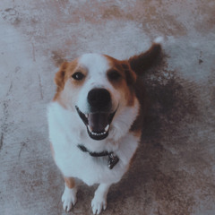 king bumi is an icon