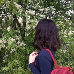 noor