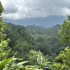 Di