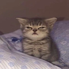 xDemon