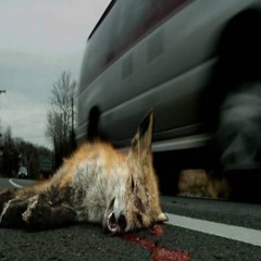 fearfulrat