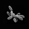 archean