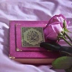 سارة سامى