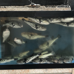 소엳