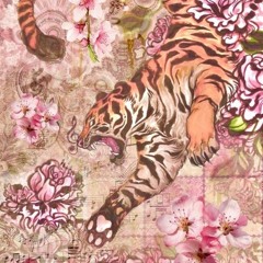 ⸸[𝔬𝔭𝔦𝔲𝔪]⸸