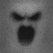 KADAVER
