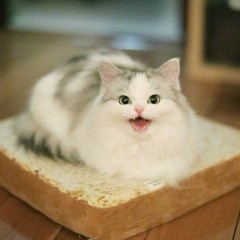 MIY