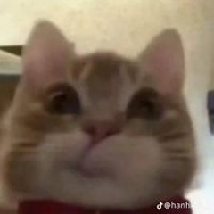 Trương Trọng Khôi