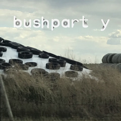 bushparty