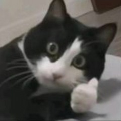 E l q u e n t i g o. 💛✌