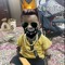 Jam Waseem