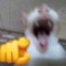 REAPZ!