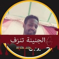 محمد برعي