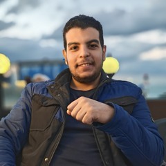 Amr Shawer