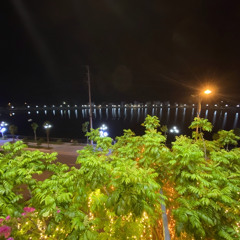 Tùng Thanh Chu