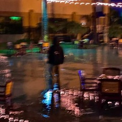 The Closed Umbrellas