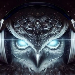 D/Nocte