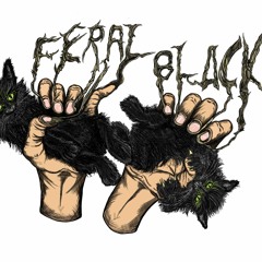 FeralBlackMusic